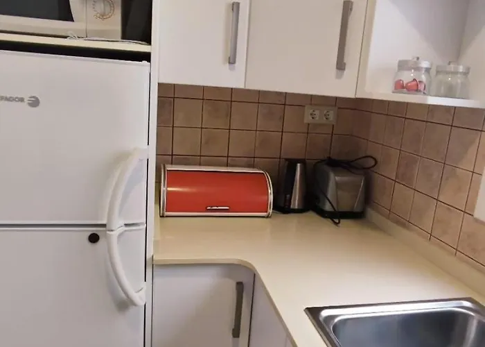 Pau Picasso - Terraza Con Vistas En Tossa